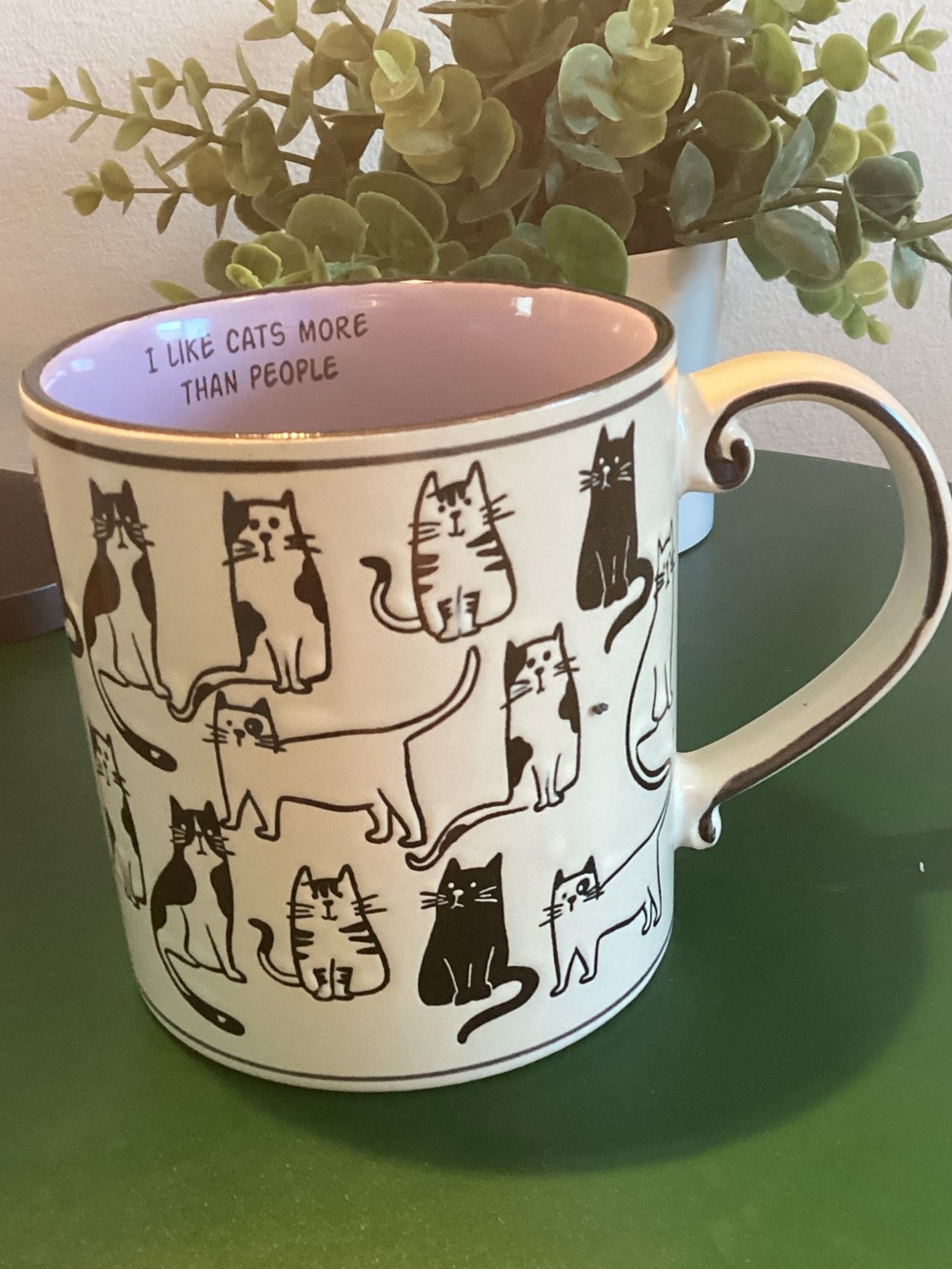Playful Cat Ceramic Mug with Pink Interior